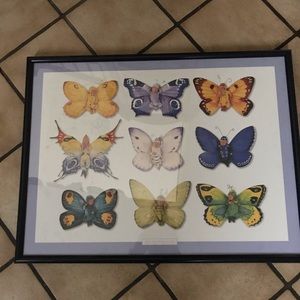 Anne Geddes Baby Butterfly Print in Frame